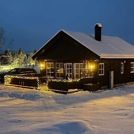 Holiday home Sanderstolen Tisleidalen