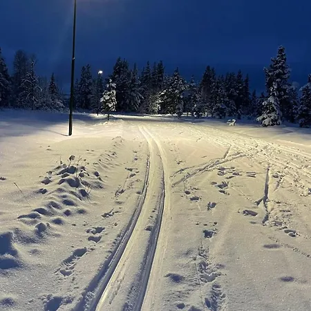 Sanderstolen Prázdninový dům Tisleidalen