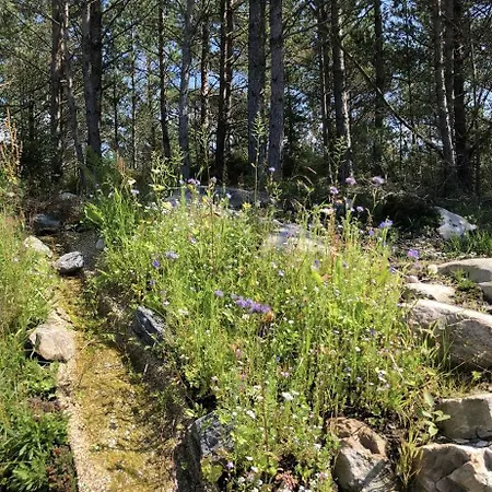 Sanderstolen Semesterbostad