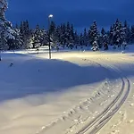 Sanderstolen * Tisleidalen